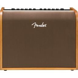 Fender Acoustic 100