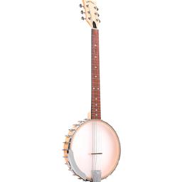 Gold Tone BT-1000: 6-String Banjo Guitar w/ Gig Bag