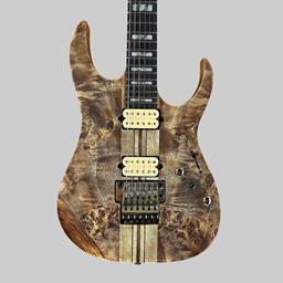 Ibanez RGT1220PB Premium Electric Guitar - Antique Brown Stained