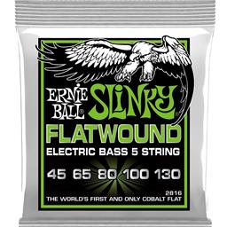 Ernie Ball Slinky 5-String Flatwound