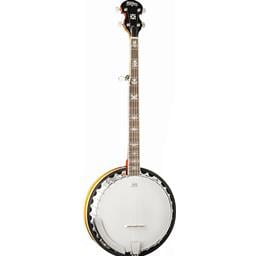 Washburn Banjo With Inlays B10
