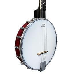 Washburn Banjo Open Back B7-A