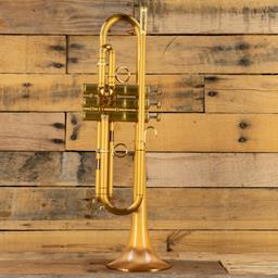 Carol Brass Trumpet Phosphor Bell Brushed CTR-4440L-PSM-SL