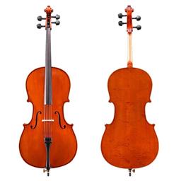 Eastman 4/4 Cello VC100