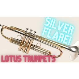 Lotus Silver Flare: a Large, Distinctive Sound with Lots of Shine.