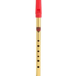 Generation D Tin Whistle Brass