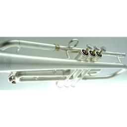 Trumpet Carol Brass CTR-5200L-RLM-BB-SSL-PIB