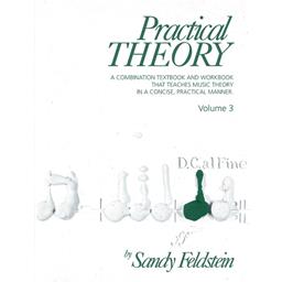 Practical Theory by Sandy Feldstein Volume 3