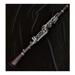 Backun Clarinet iSeries Wood II