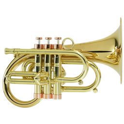 Carol Brass Taylor Phat Puppy Pocket Flugelhorn