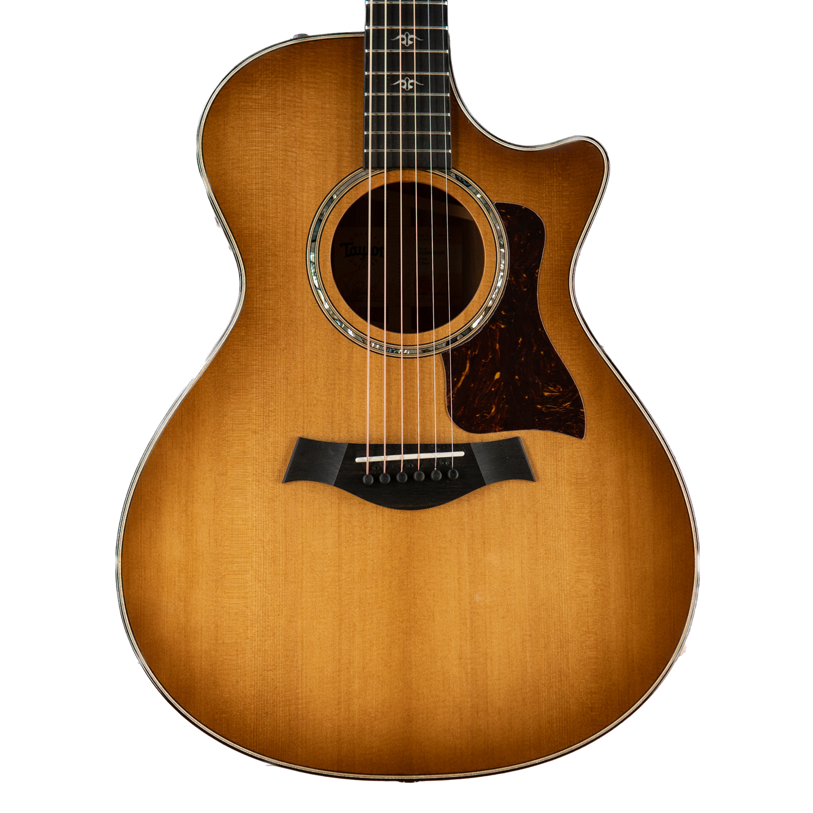 Taylor 512ce Ironbark