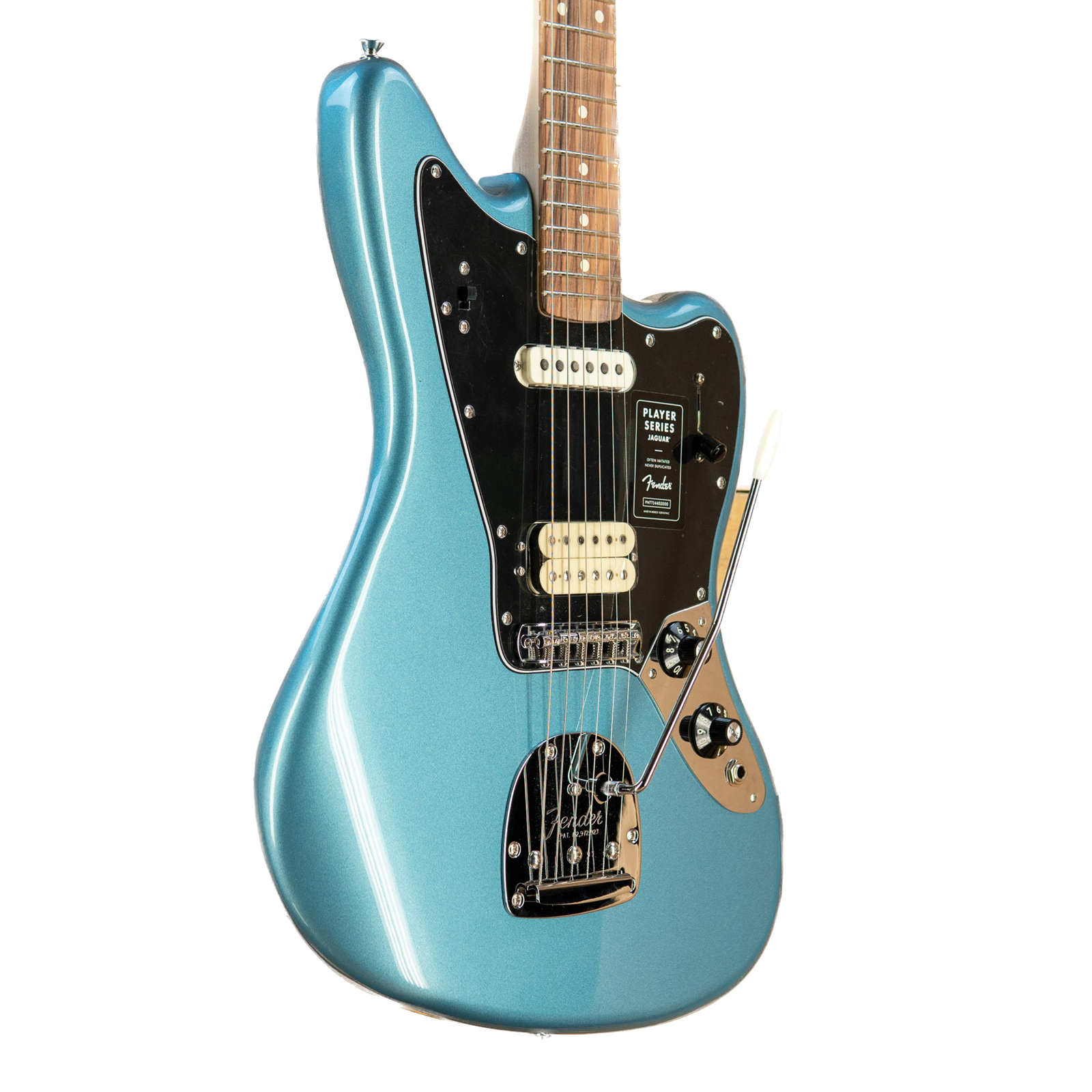 Ernie Williamson Music - Fender Player Jaguar®, Pau Ferro