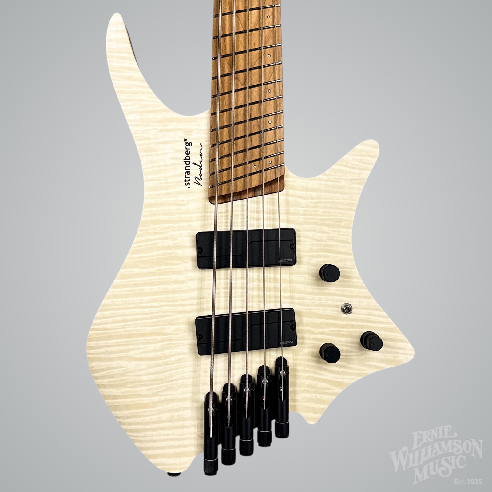 Ernie Williamson Music - Strandberg Boden Bass standard 5