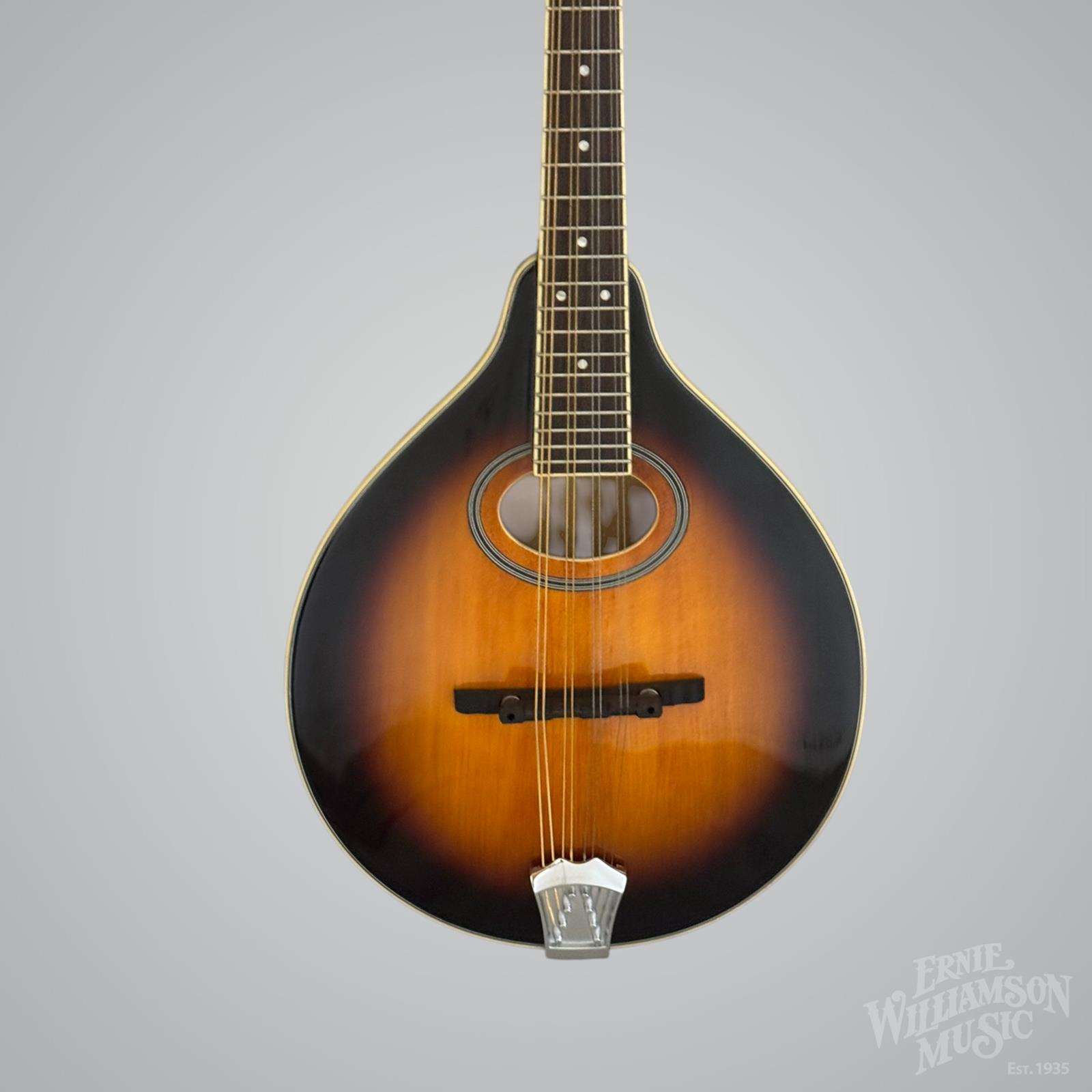 Gold Tone GM-50+ A-Style Mandolin with Pickup and Bag