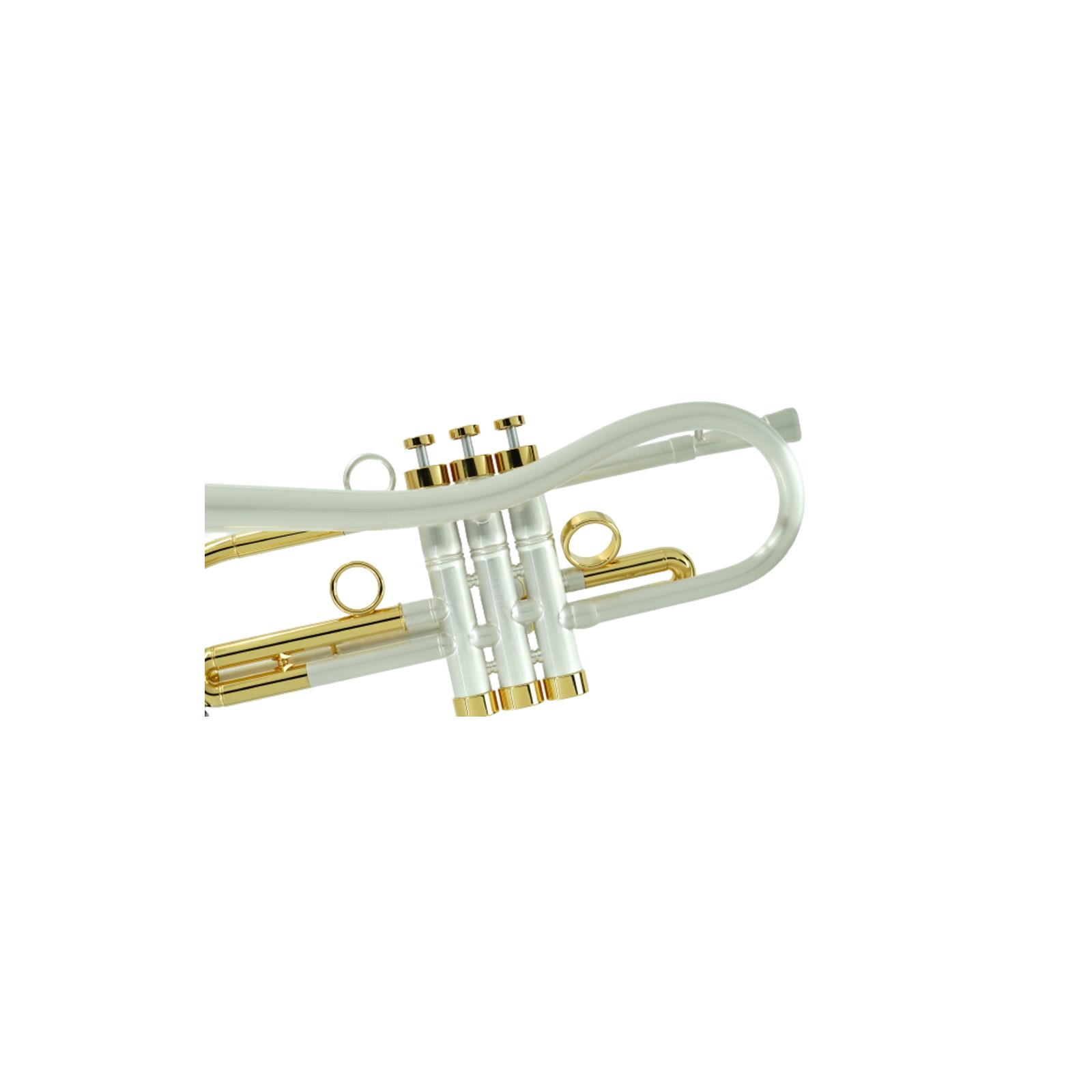 CarolBrass Baro model II Post Pandemic CarolBrass - Trumpet/Cornet