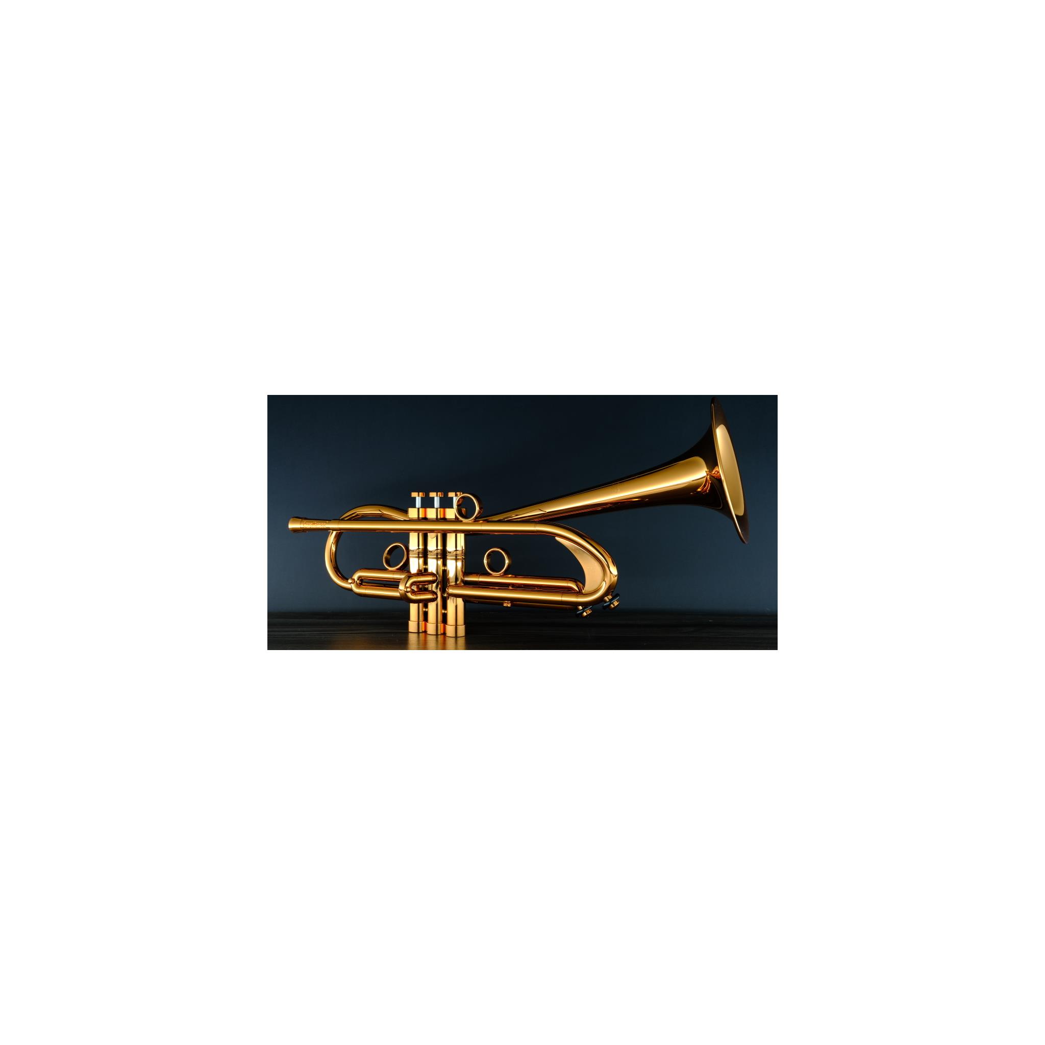 Trumpet Carol Brass Baro II CTR-BAROII-RR
