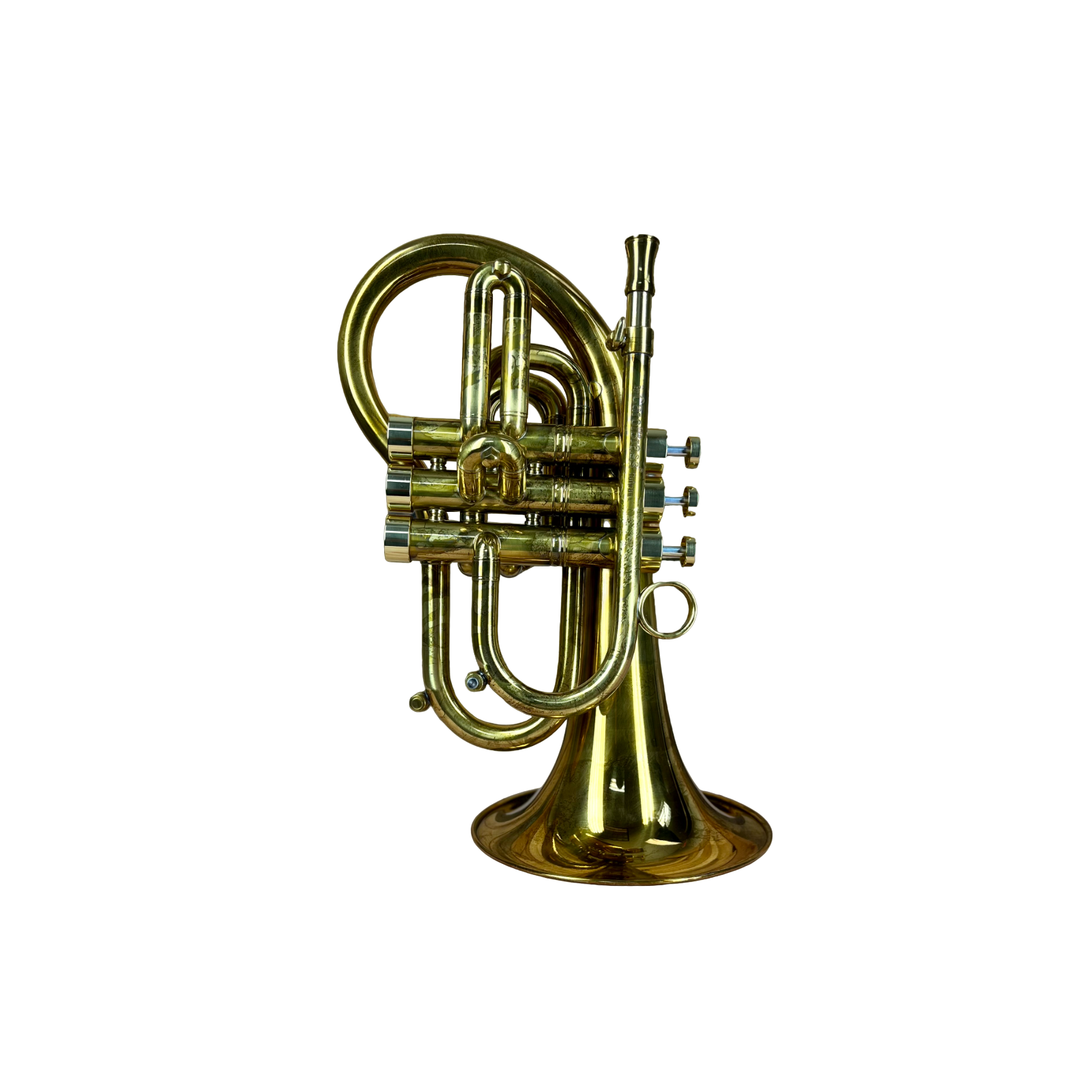 Ernie Williamson Music - Carol Brass Taylor Phat Puppy Pocket