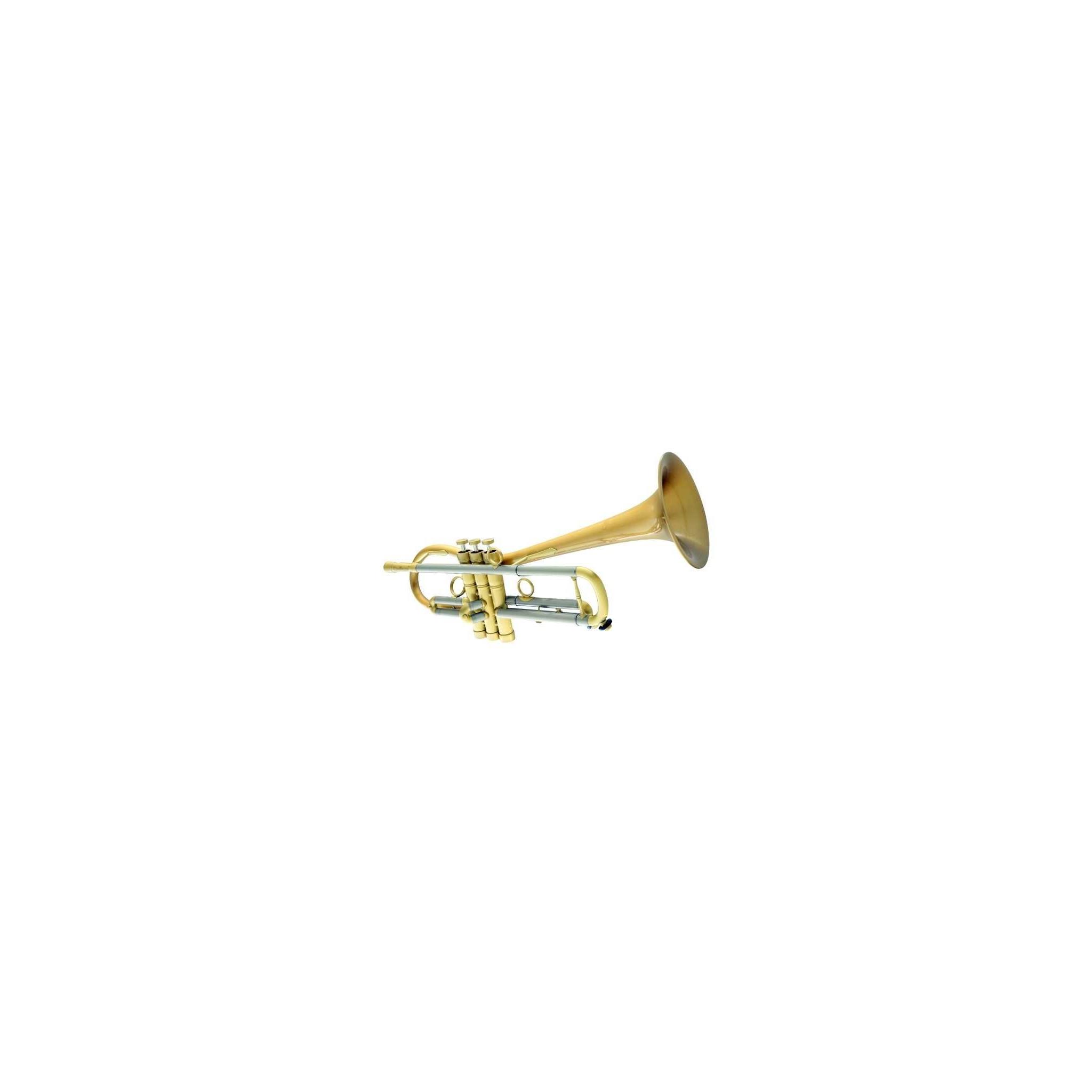 Trumet Carol Brass CTR-5280L-GLT(Euro-D)-Bb-L