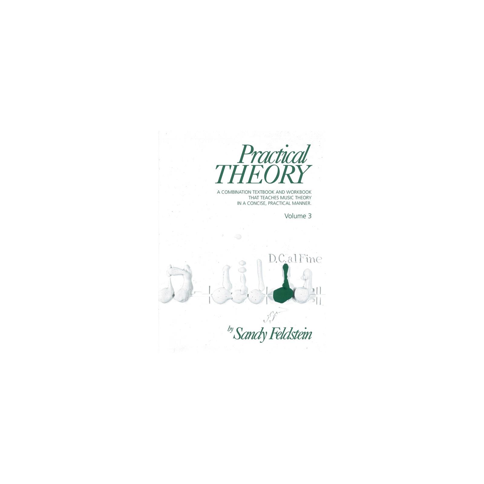 Practical Theory by Sandy Feldstein Volume 3