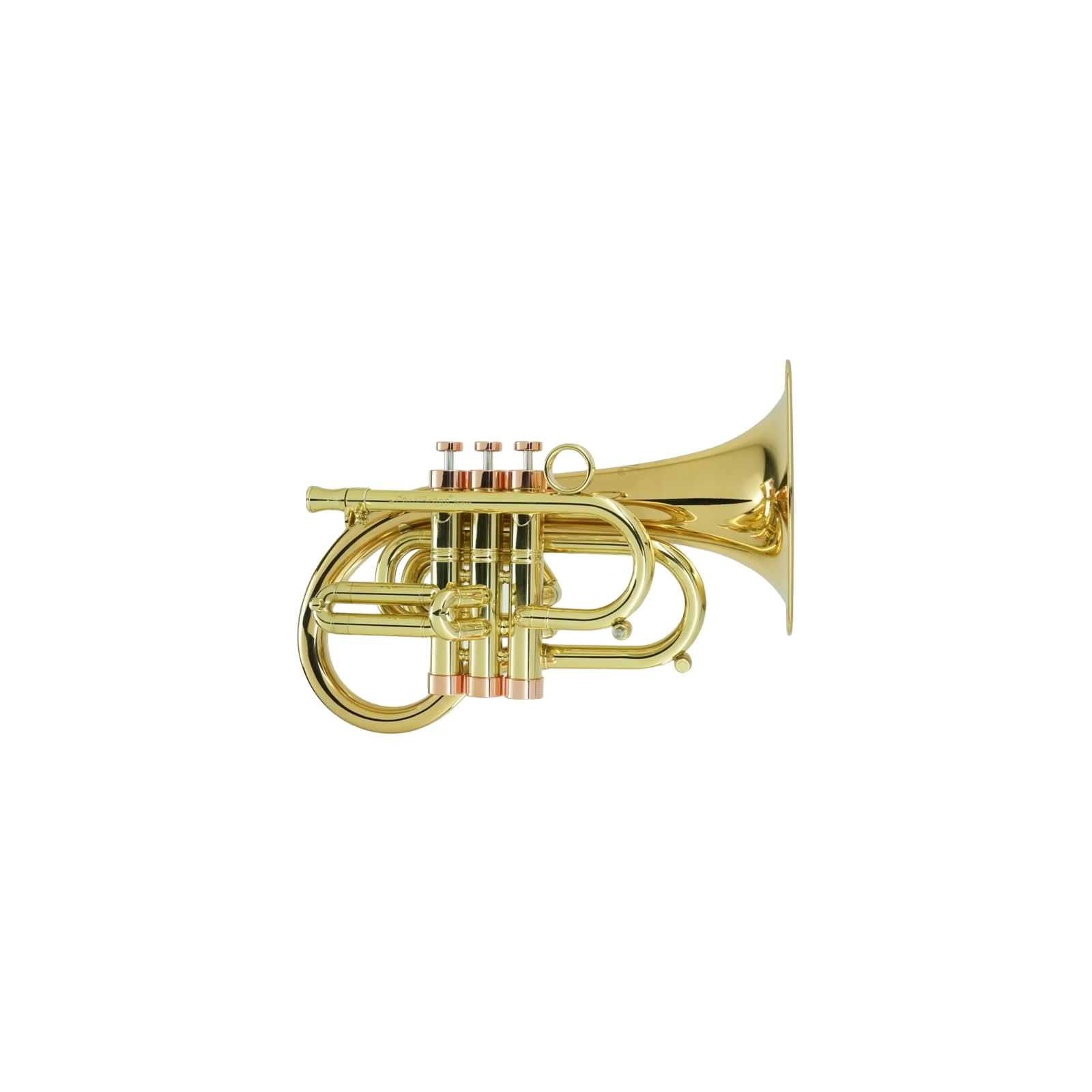 Carol Brass Taylor Phat Puppy Pocket Flugelhorn