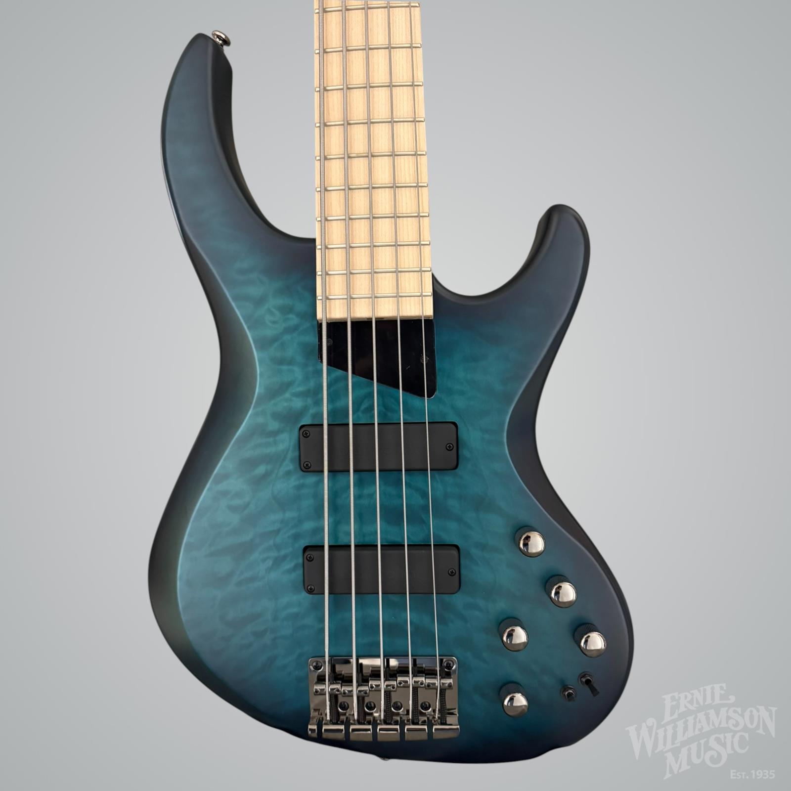 Ernie Williamson Music - Ibanez Gio SR 5str Electric Bass