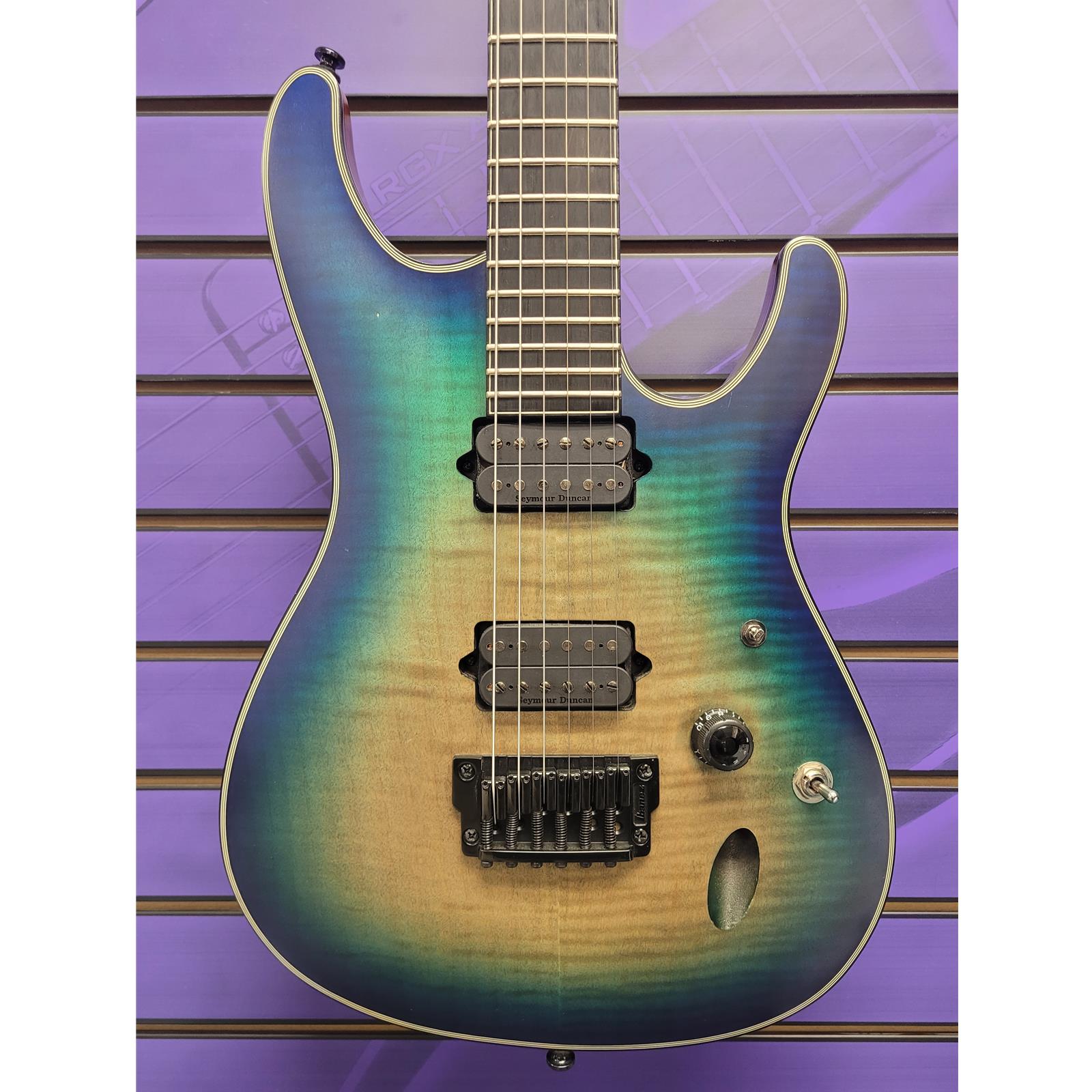 Ernie Williamson Music - Ibanez SIX6FDFM Iron Label USED