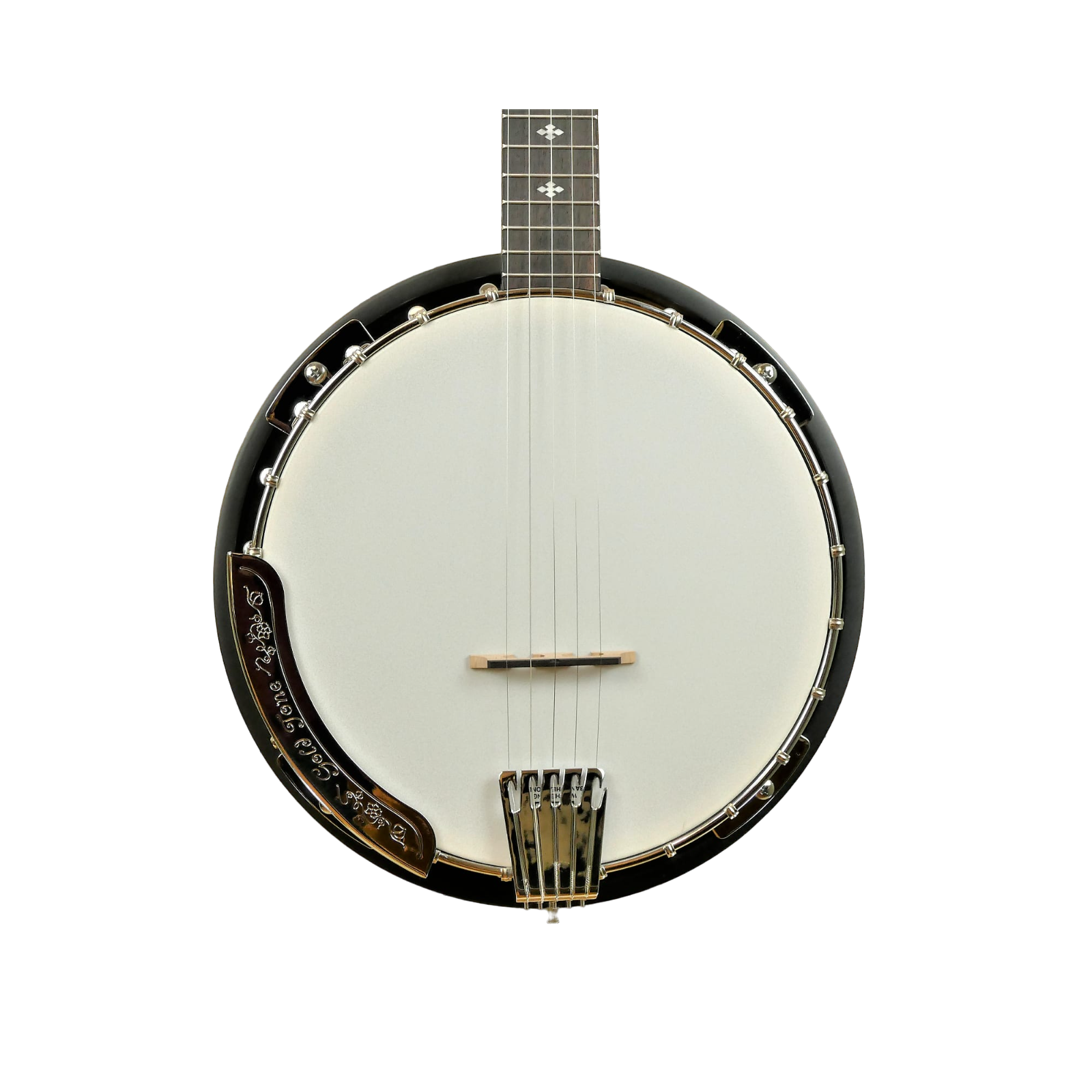 Gold Tone CC-100R Cripple Creek Resonator Banjo with Gig Bag