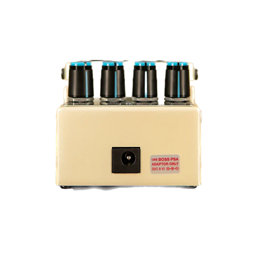 Ernie Williamson Music - Boss DD-3T Delay w/ Tap