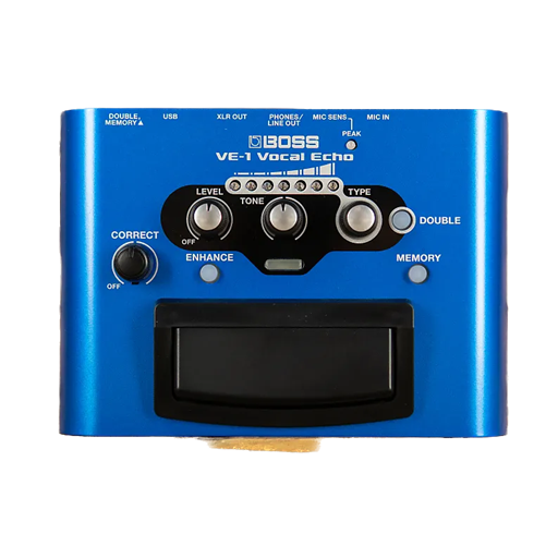 Ernie Williamson Music - Boss VE-1 Vocal Echo Pedal