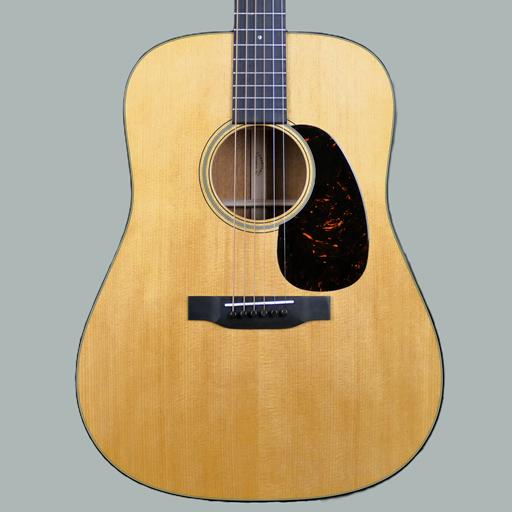 Martin Guitar,D18 w/HS