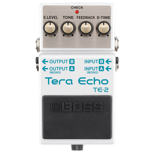 Ernie Williamson Music - Boss TE-2 Terra Echo