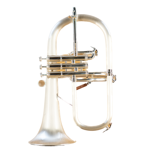 Flugelhorn Carol Brass CFL-6200-GSS-BB-SSLB-PIB