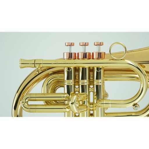 Ernie Williamson Music - Carol Brass Taylor Phat Puppy Pocket