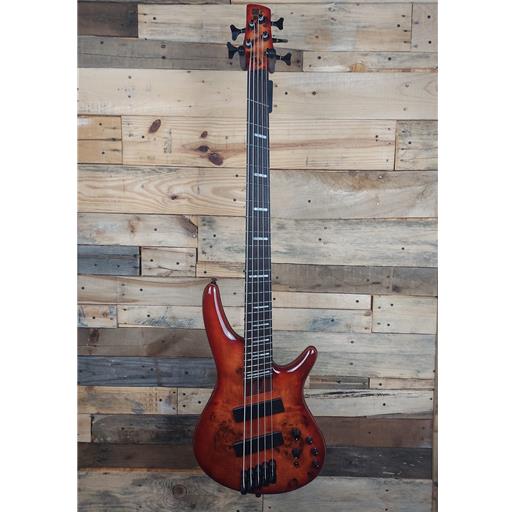 Ernie Williamson Music - Ibanez SRMS805 5 String - USED
