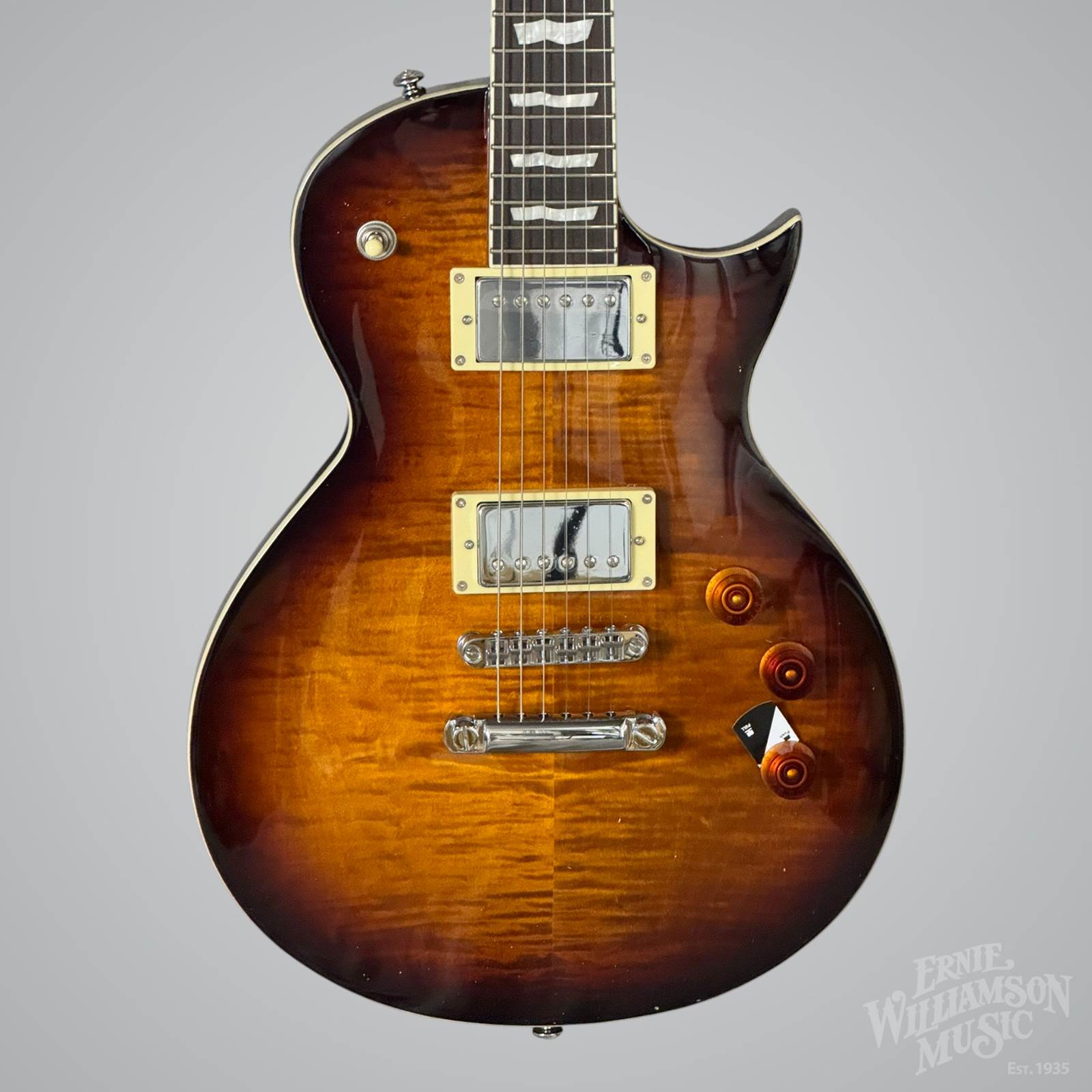 Ernie Williamson Music - LTD EC-256, Dark Brown Sunburst