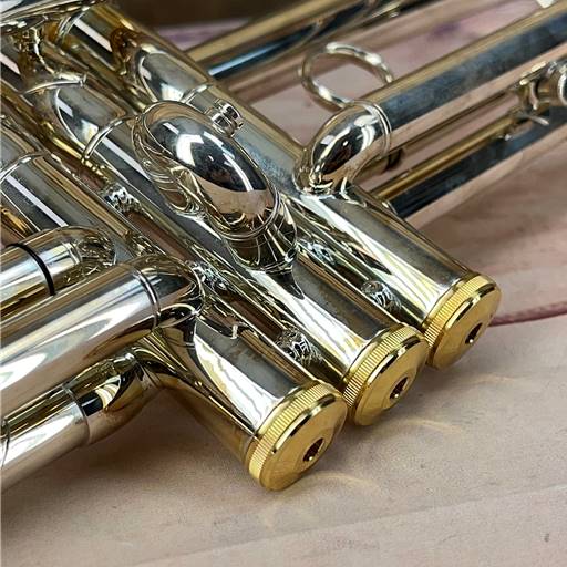 Eastman ETR520GS Trumpet Silver Plated, Gold Brass Bell, Gold Trim ETR520GS